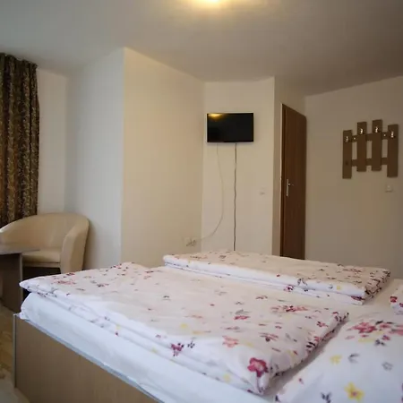 Pensiunea Padurea 3*