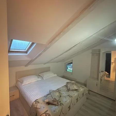 Penzion Pensiunea Padurea 3*