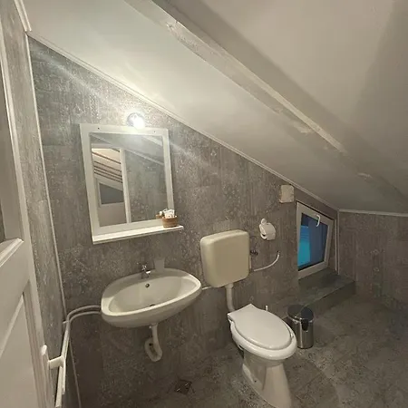 Pensiunea Padurea Guest house